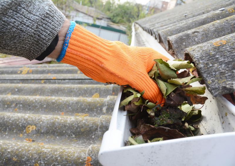 Gutter Covers with Leaf Debris